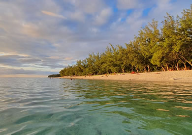 Une plage à La Réunion avec palmiers le soir